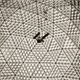 Image for article titled Inside the 20th Century's Weirdest Architectural Breakthrough